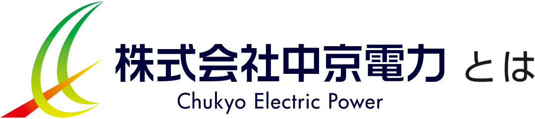 中京電力とは